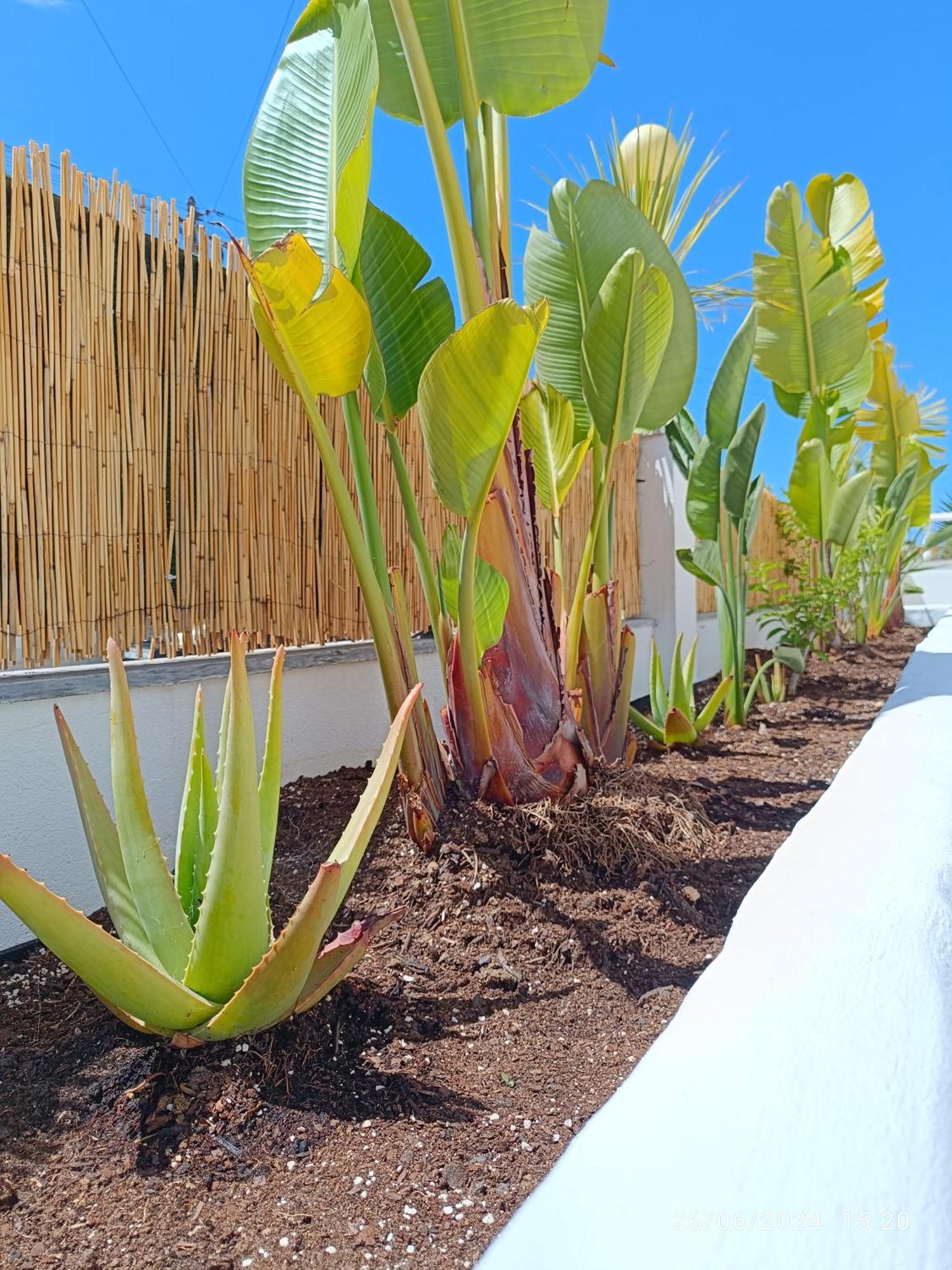 Supertubos House Peniche